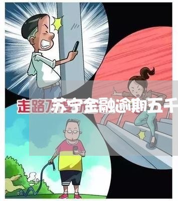 苏宁金融逾期五千收到两次