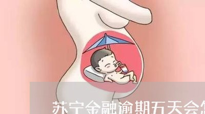 苏宁金融逾期五天会怎么样