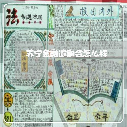 苏宁金融逾期会怎么样