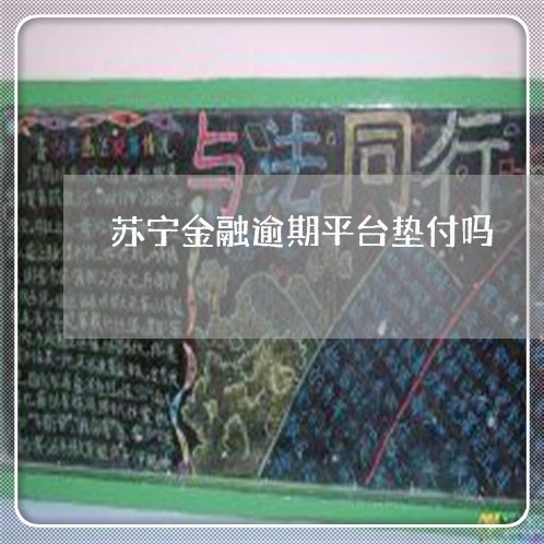 苏宁金融逾期平台垫付吗 苏宁金融逾期平台垫付吗