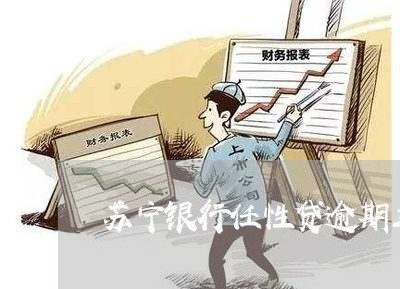 苏宁银行任性贷逾期三天/2023121059404