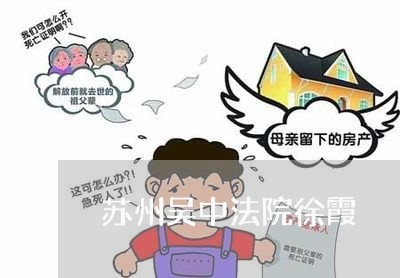 苏州吴中法院徐霞 苏州吴中法院徐霞
