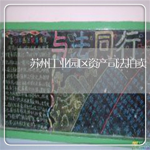 苏州工业园区资产司法拍卖 苏州工业园区资产司法拍卖