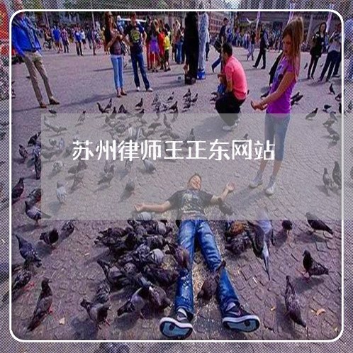 苏州律师王正东网站