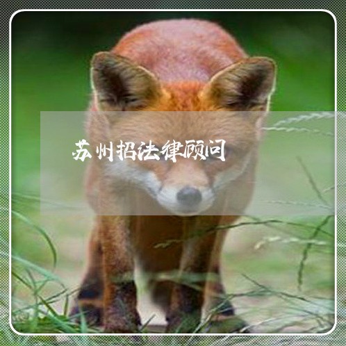 苏州招法律顾问/2023061747470 苏州招法律顾问/2023061747470