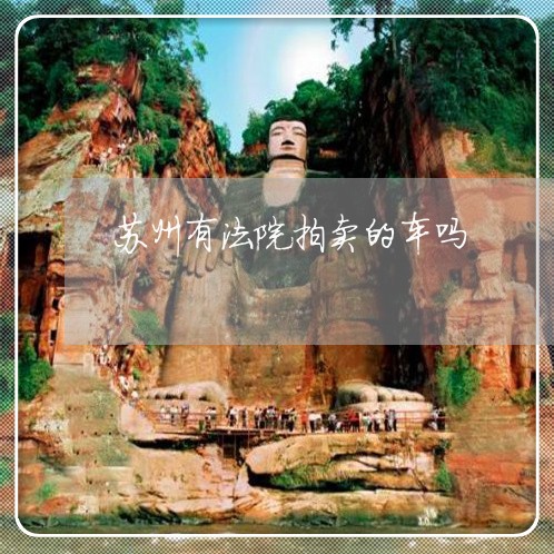 苏州有法院拍卖的车吗 苏州有法院拍卖的车吗
