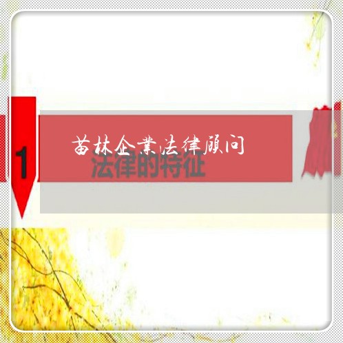 苗林企业法律顾问 苗林企业法律顾问