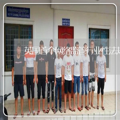 英国首个网络监管行业性法规 英国首个网络监管行业性法规