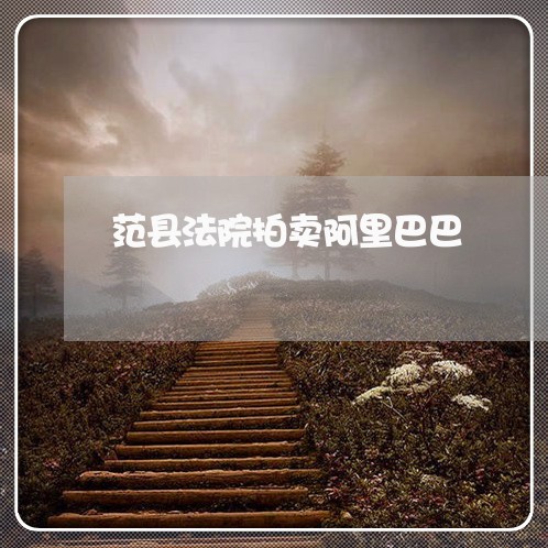范县法院拍卖阿里巴巴 范县法院拍卖阿里巴巴
