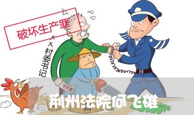 荆州法院何飞雄 荆州法院何飞雄