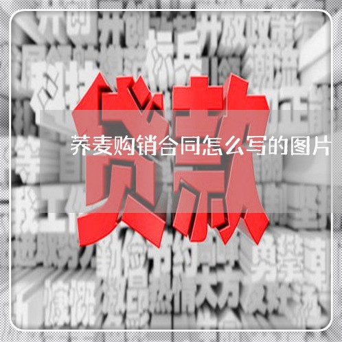 荞麦购销合同怎么写的图片/2023041338058 荞麦购销合同怎么写的图片/2023041338058