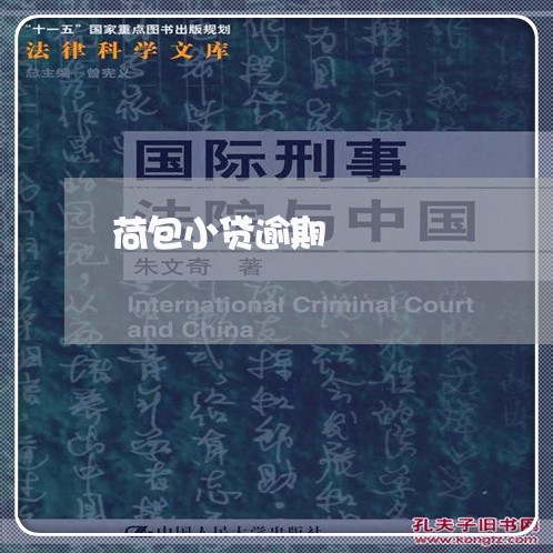 荷包小贷逾期 荷包小贷逾期