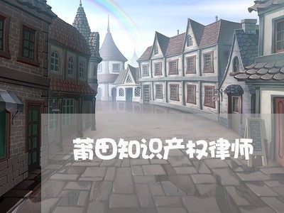 莆田知识产权律师