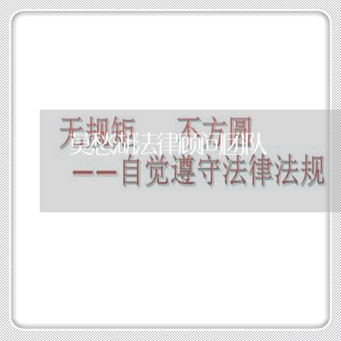 莫愁湖法律顾问团队/2023061751572 莫愁湖法律顾问团队/2023061751572