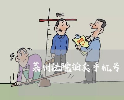 莱州法院拍卖手机号