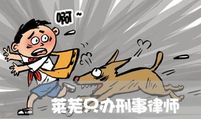莱芜只办刑事律师