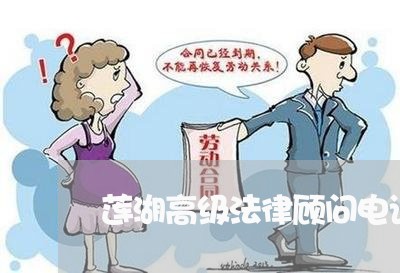 莲湖高级法律顾问电话是多少 莲湖高级法律顾问电话是多少