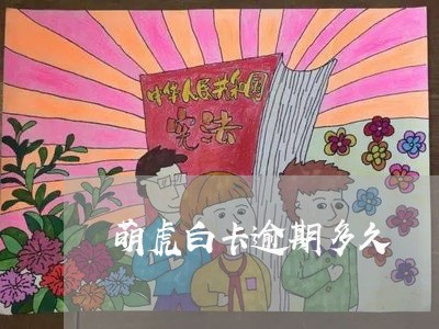 萌虎白卡逾期多久