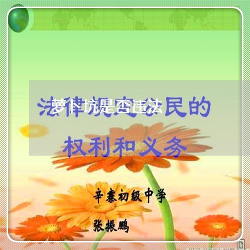萝卜坑是否违法