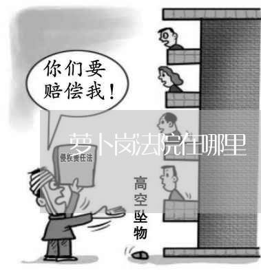 萝卜岗法院在哪里 萝卜岗法院在哪里