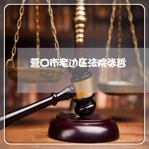 营口市老边区法院张哲