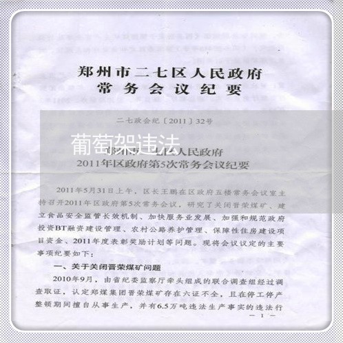 葡萄架违法