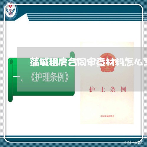 蒲城租房合同审查材料怎么写/2023040444737
