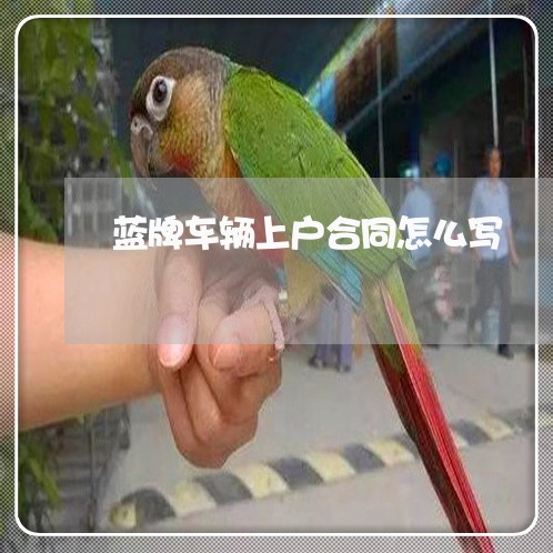蓝牌车辆上户合同怎么写/2023041411472 蓝牌车辆上户合同怎么写/2023041411472