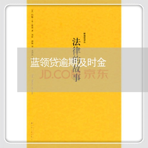 蓝领贷逾期及时金