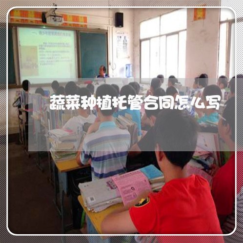 蔬菜种植托管合同怎么写/2023022697351