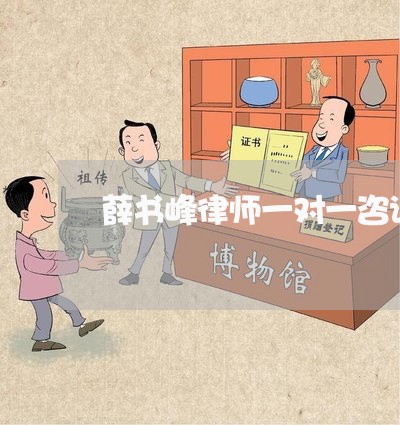 薛书峰律师一对一咨询