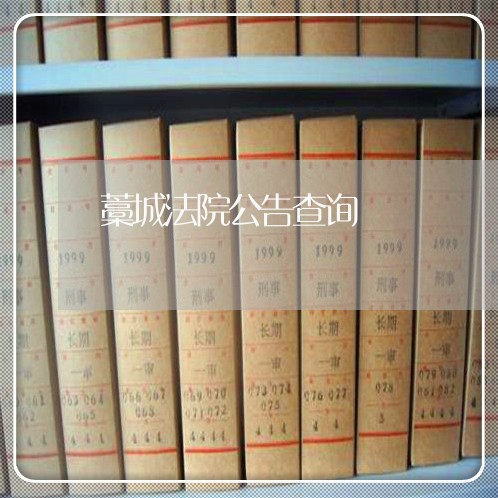 藁城法院公告查询 藁城法院公告查询