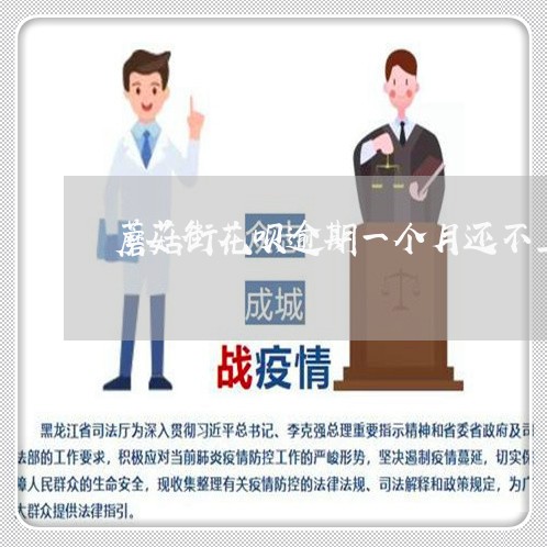 蘑菇街花呗逾期一个月还不上