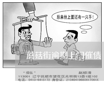 蘑菇街逾期上门催债 蘑菇街逾期上门催债