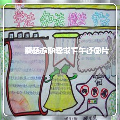 蘑菇逾期要求下午还图片 蘑菇逾期要求下午还图片