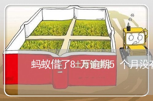 蚂蚁借了8万逾期5个月没有还过 蚂蚁借了8万逾期5个月没有还过