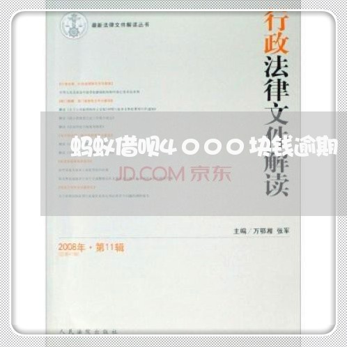 蚂蚁借呗4000块钱逾期 蚂蚁借呗4000块钱逾期