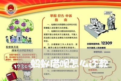 蚂蚁借呗怎么还款/2023012200826 蚂蚁借呗怎么还款/2023012200826