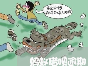 蚂蚁借呗逾期1万