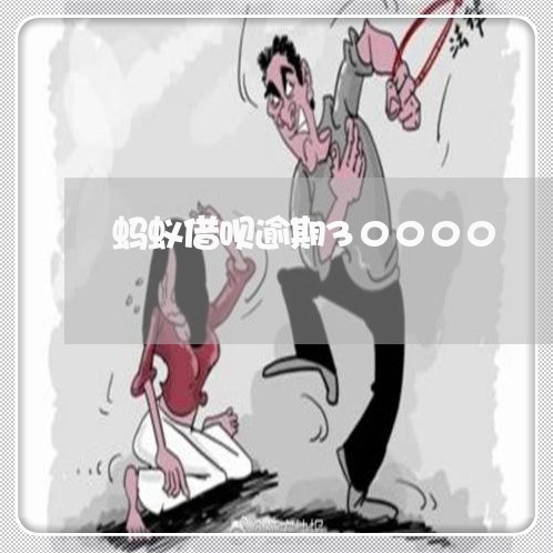 蚂蚁借呗逾期30000