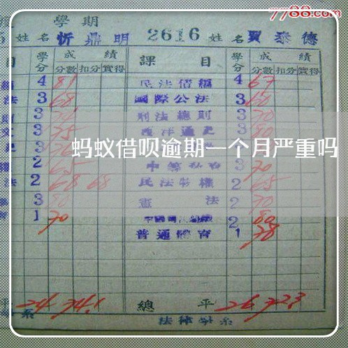 蚂蚁借呗逾期一个月严重吗 蚂蚁借呗逾期一个月严重吗