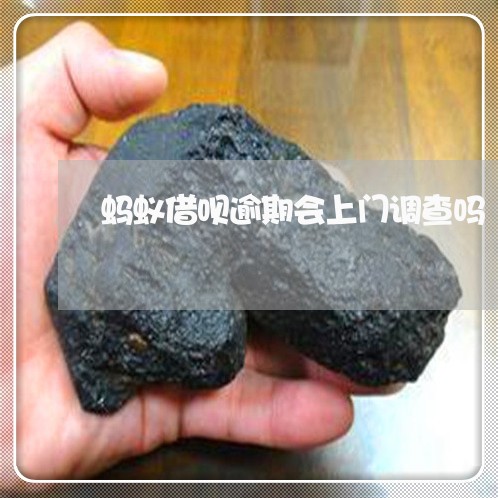 蚂蚁借呗逾期会上门调查吗/2023022792927 蚂蚁借呗逾期会上门调查吗/2023022792927