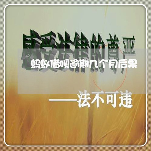 蚂蚁借呗逾期几个月后果 蚂蚁借呗逾期几个月后果