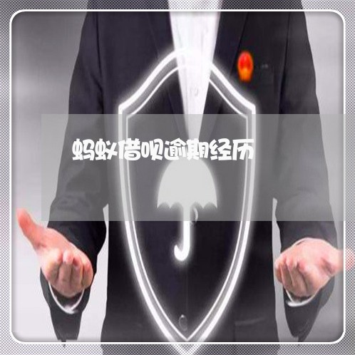 蚂蚁借呗逾期经历