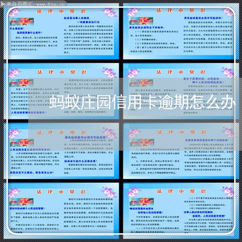 蚂蚁庄园信用卡逾期怎么办/2023061609692