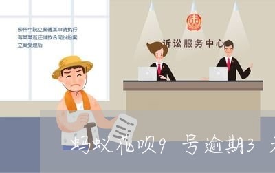 蚂蚁花呗9号逾期3天是几号