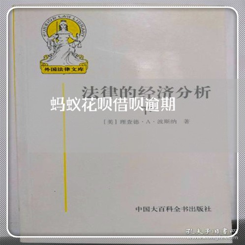 蚂蚁花呗借呗逾期/2023030198381 蚂蚁花呗借呗逾期/2023030198381
