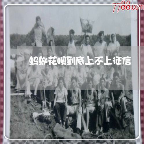 蚂蚁花呗到底上不上征信/2023022569625 蚂蚁花呗到底上不上征信/2023022569625