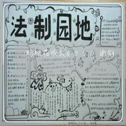 蚂蚁花呗欠6000逾期 蚂蚁花呗欠6000逾期