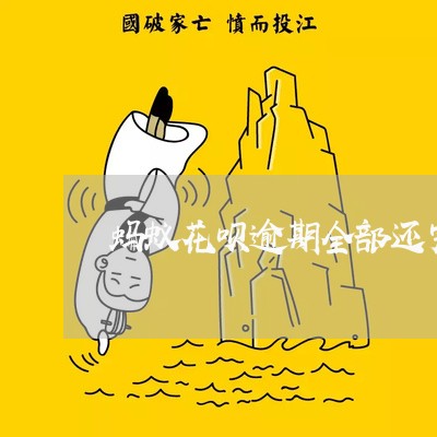 蚂蚁花呗逾期全部还完/2023031803947